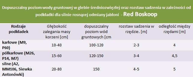 Red Boskoop - rozstaw sadzenia i poziom wod gruntowych.