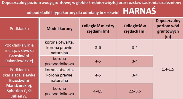 Dopuszczalny poziom wód gruntowych oraz rozstaw sadzenia - Brzoskwinia Harnaś