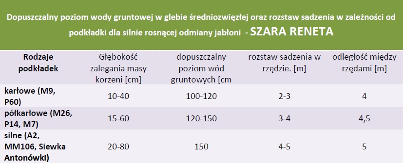 Rozstaw sadzenia i dopuszczalny poziom wód gruntowych - Jabłoń Szara Reneta