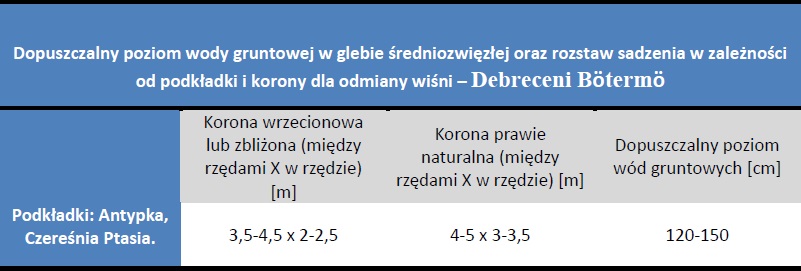 Rozstaw sadzenia i dopuszczalny poziom wód gruntowych - Wiśnia Debreceni Botermo