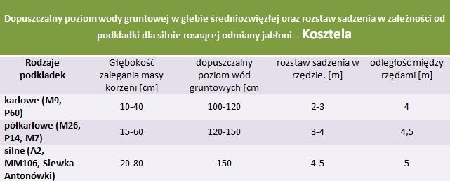 Jabłoń Kosztela - rozstaw sadzenia i poziom wod gruntowych.