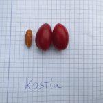 Winogrona Kostia