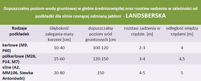 Rozstaw sadzenia i dopuszczalny poziom wód gruntowych - Jabłoń Reneta Landsberska