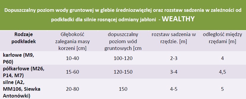 Rozstaw sadzenia i dopuszczalny poziom wód gruntowych - Jabłoń Wealthy