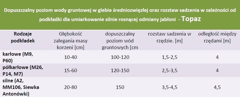 Rozstaw sadzenia i dopuszczalny poziom wód gruntowych - Jabłoń Topaz