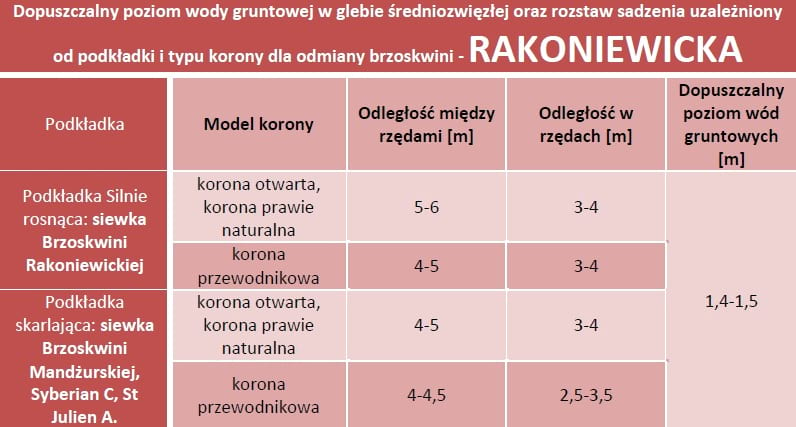 Dopuszczalny poziom wód gruntowych oraz rozstaw sadzenia - Brzoskwinia Rakoniewicka