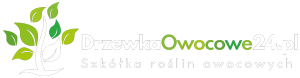 Logo Drzewka Owocowe - szkółka