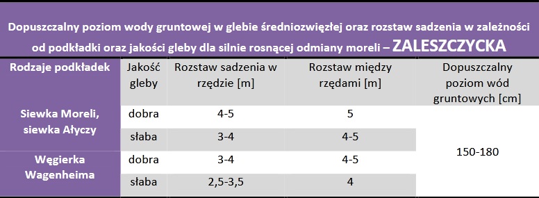 Dopuszczalny poziom wód gruntowych oraz rozstaw sadzenia - Morela Zaleszczycka