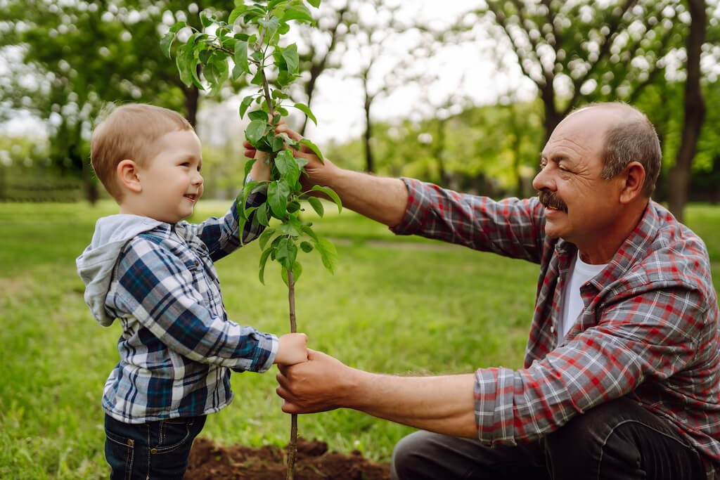 mały chłopiec i starszy mężczyzna sadzący drzewo 